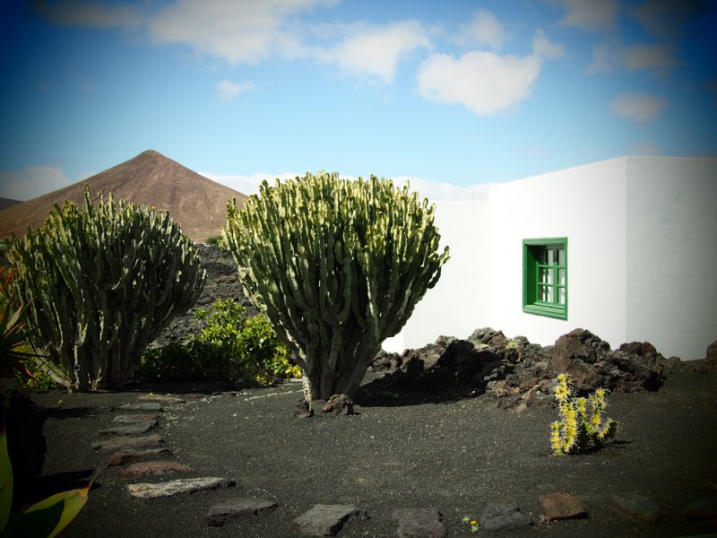 cesar manrique foundation house