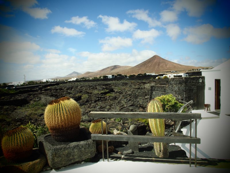 cesar manrique foundation view