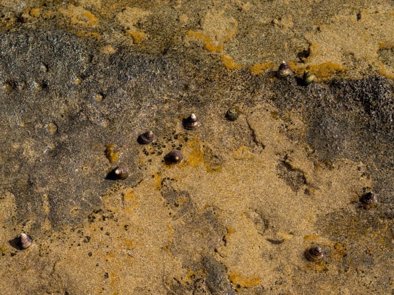 graciosa island lanzarote spain