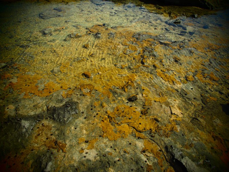 graciosa island waters