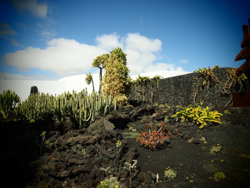 lanzarote cesar manrique foundation garden