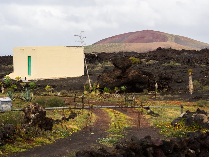 lanzarote timanfaya road