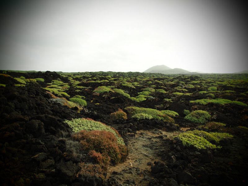 lanzarote timanfaya views