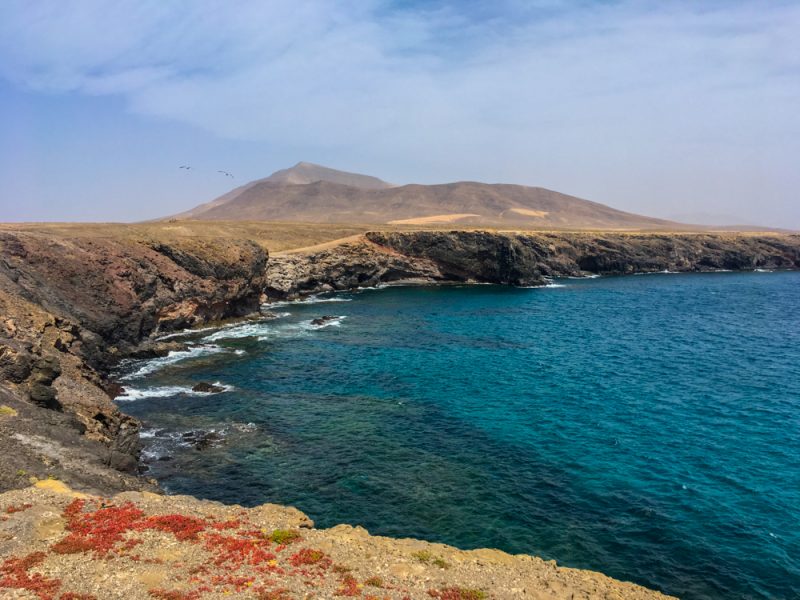 papagayo lanzarote