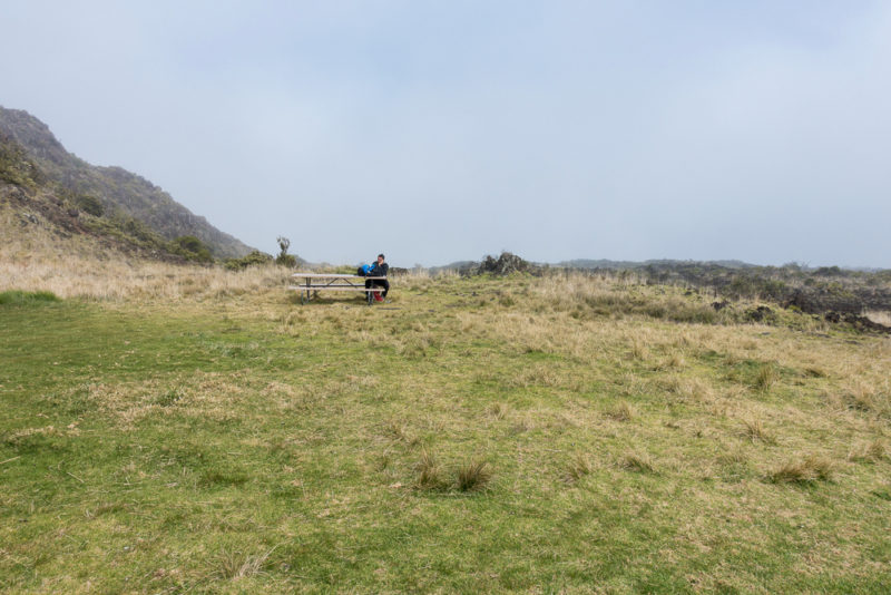 hawaii halemauu trail picnic area