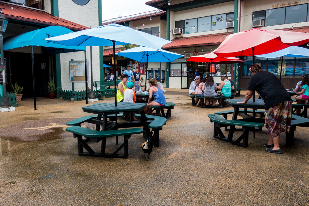 hawaii hanalei village