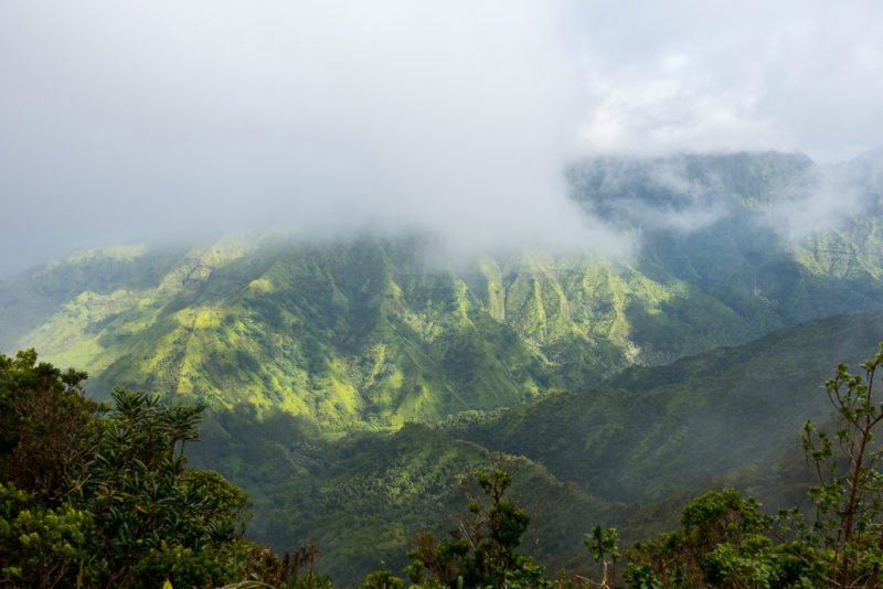 hawaii kawaikoi stream trail view