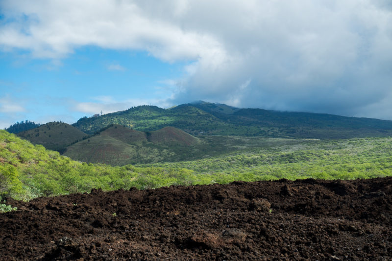 hawaii la perouse bay view