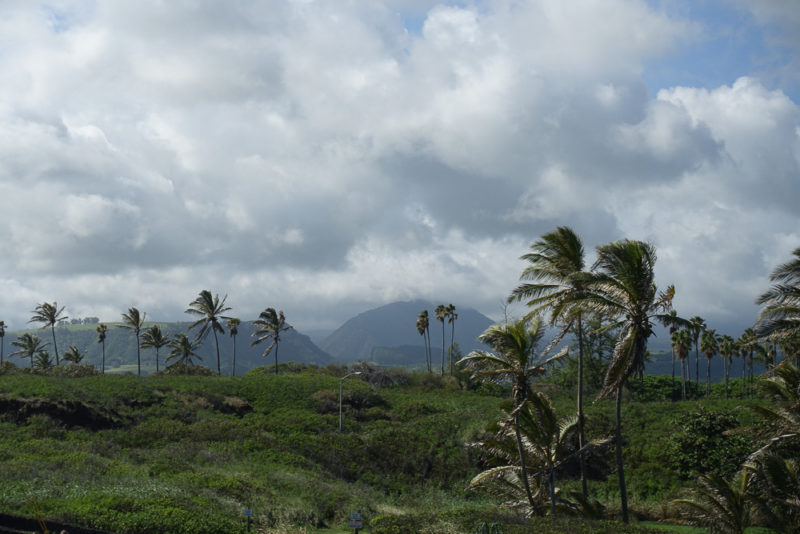 hawaii old kaalaiki road