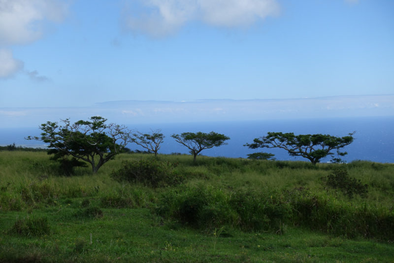 hawaii old kaalaiki road landscape