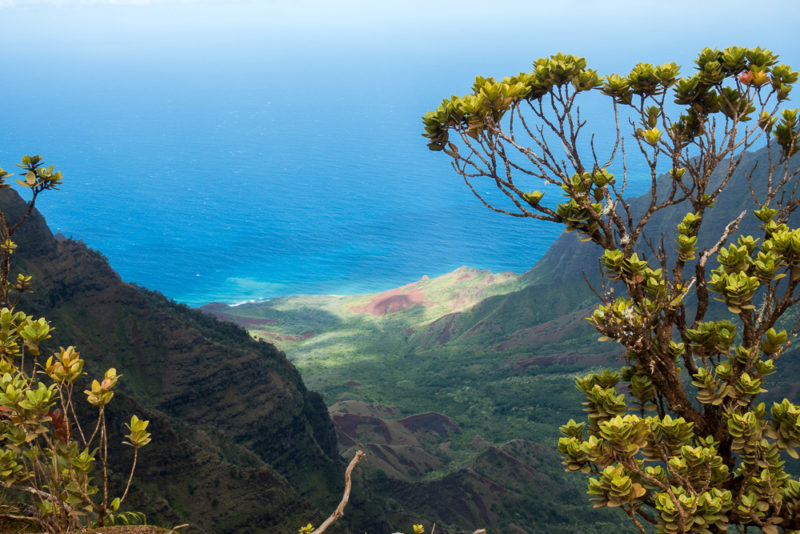 hawaii pihea trail lookout