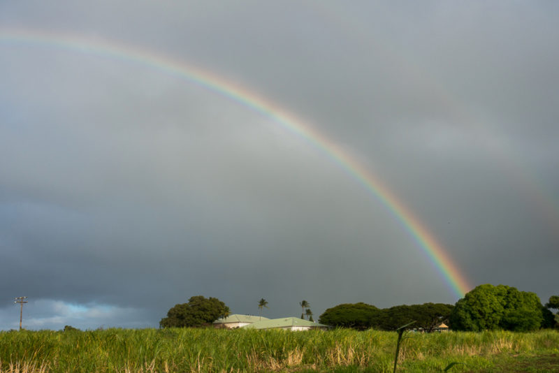 hawaii rainbow