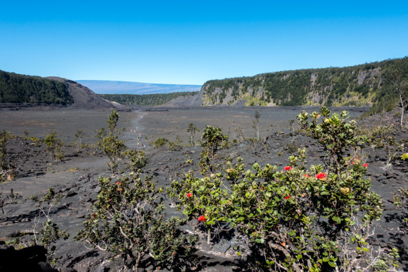 hawaii big island kilauea iki trail