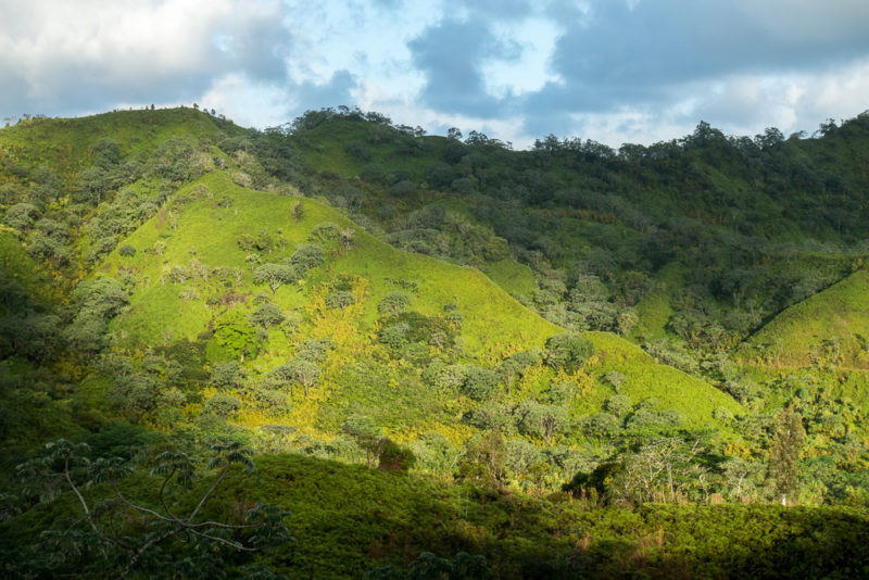 hawaii hanalei green hills