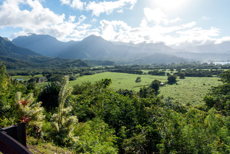 hawaii kauai hanalei green lands