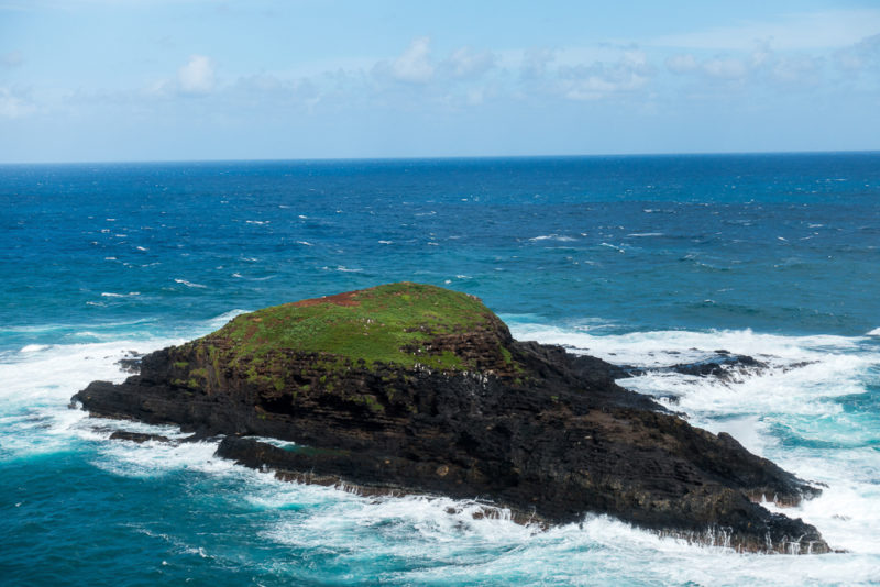 hawaii kilauea lighthouse birds