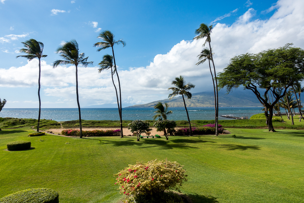 hawaii koa lagoon garden