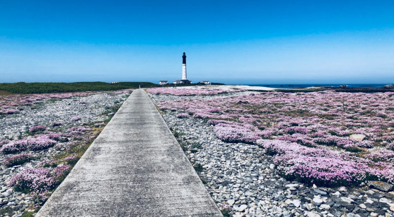 britanny islands ile de sein 6