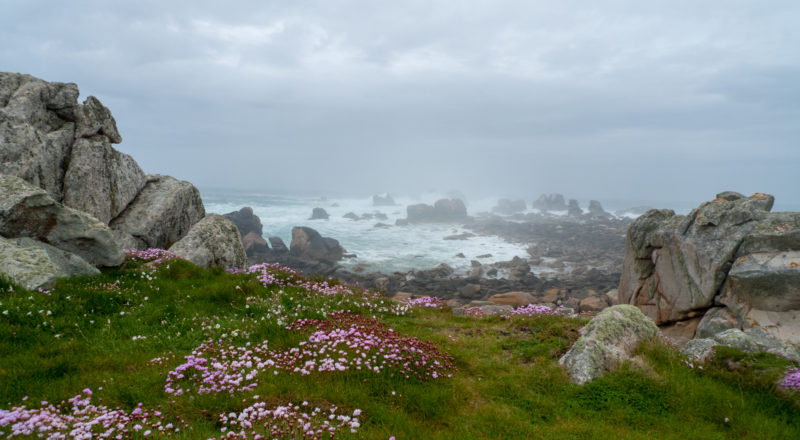 britanny islands ouessant 3
