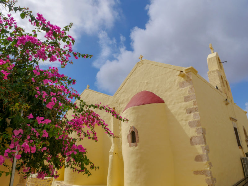 crete odigitrias monastery flowers