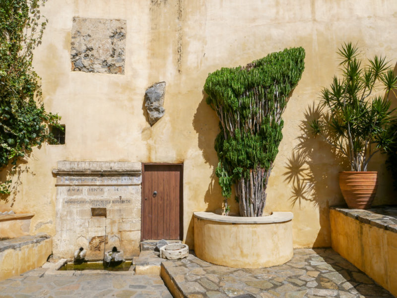 crete preveli monastery tree