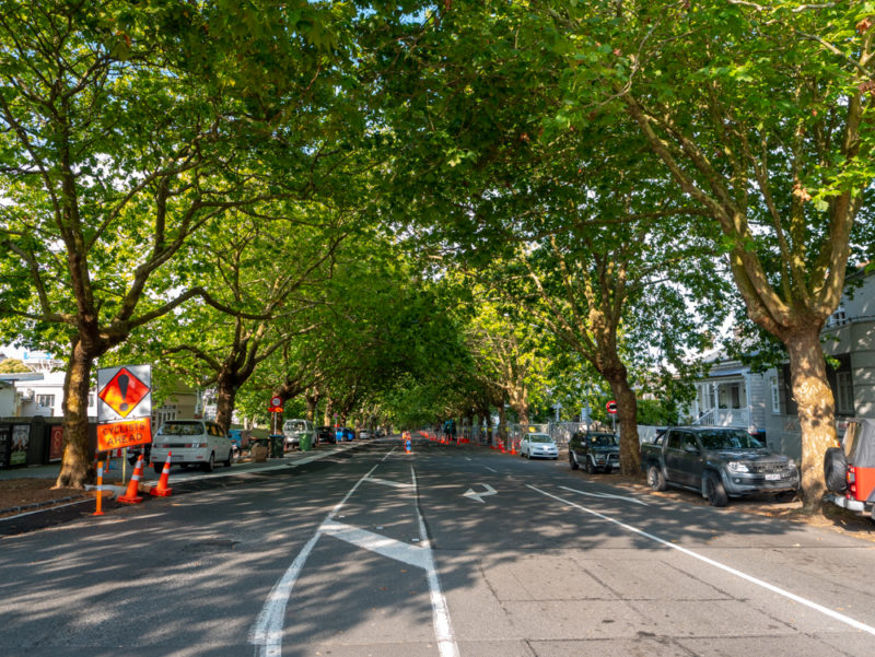 new zealand auckland ponsoby streets