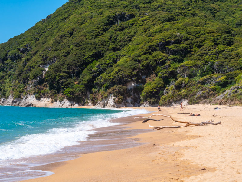 new zealand abel tasman anapai