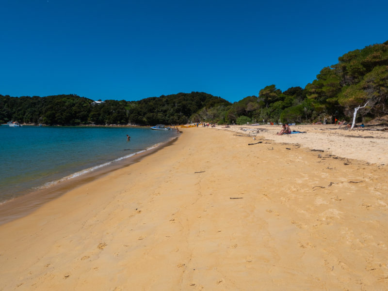 new zealand abel tasman anchorage beach