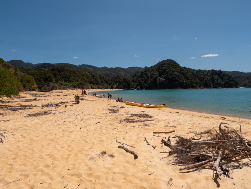 new zealand abel tasman anchorage beach trail