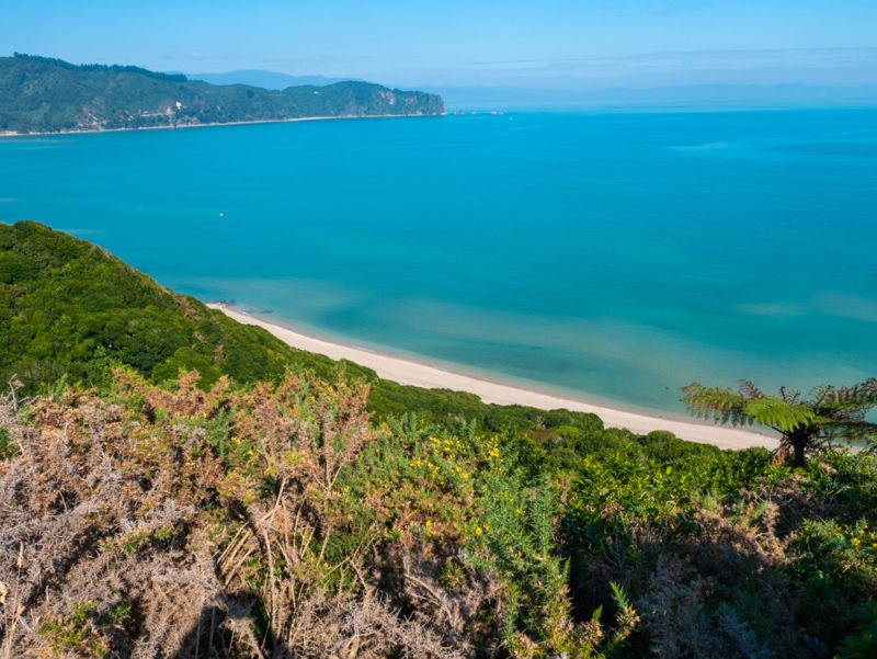 new zealand abel tasman north shore