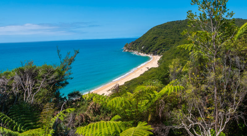 new zealand abel tasman parc