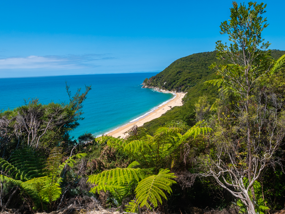 new zealand abel tasman parc