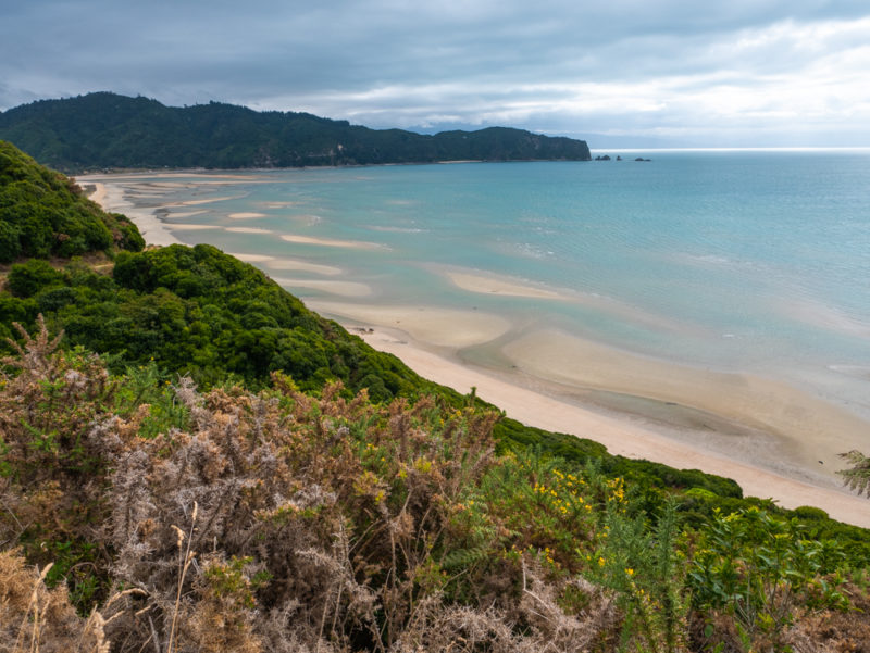 new zealand abel tasman seaside