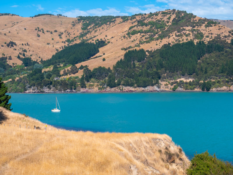 new zealand bank peninsula bay