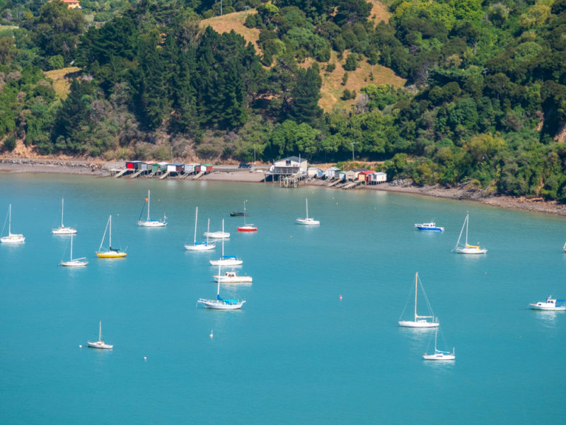 new zealand bank peninsula bay houses and boat