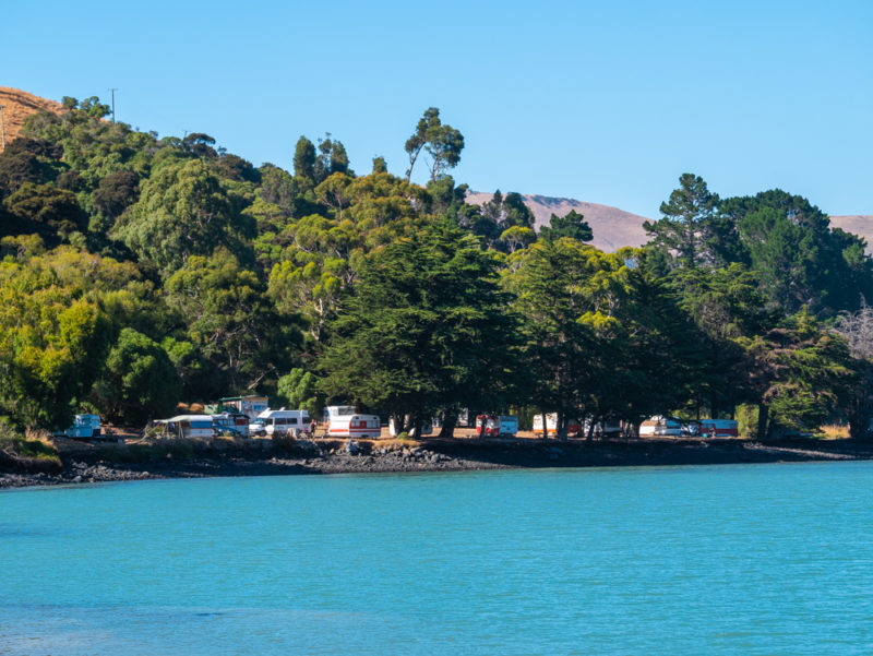 new zealand bank peninsula campsite