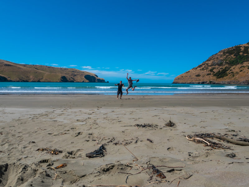new zealand bank peninsula ed jumping