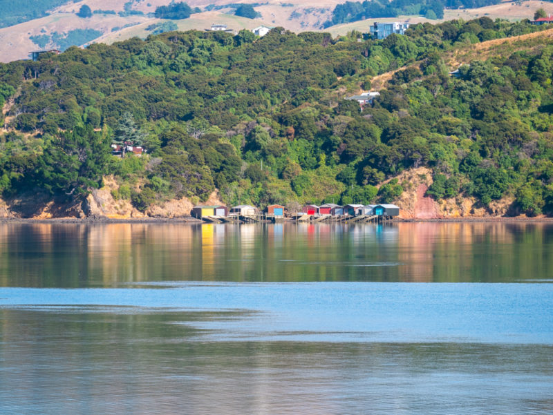 new zealand bank peninsula houses on water