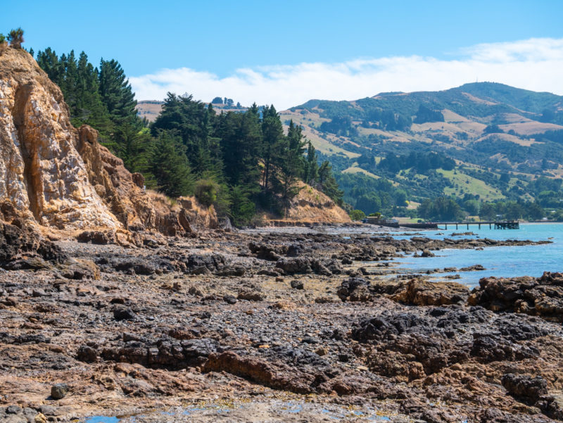 new zealand bank peninsula low tide