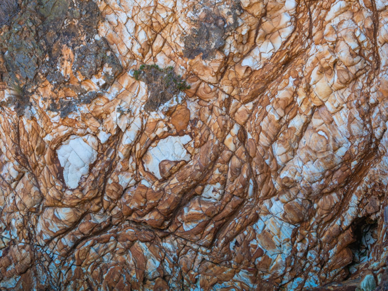 new zealand bank peninsula rock art