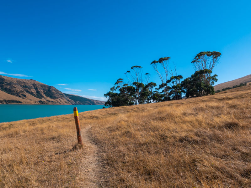 new zealand bank peninsula trail