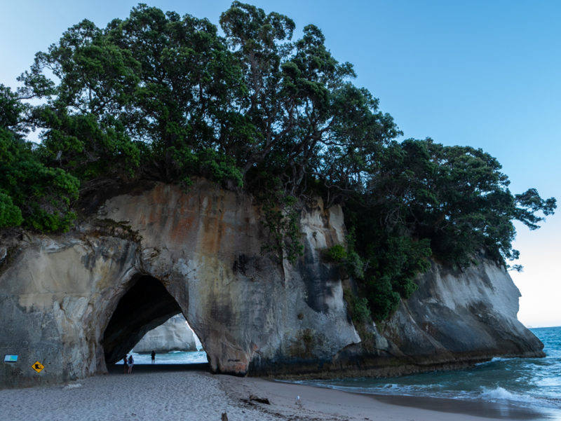 new zealand cathedral cove arch