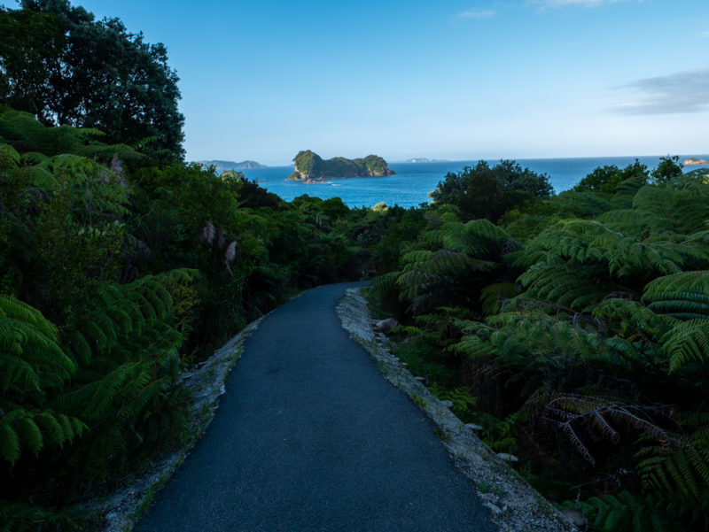 new zealand cathedral cove path