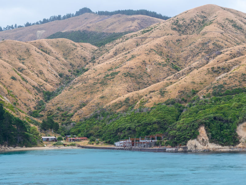 new zealand cook strait small village
