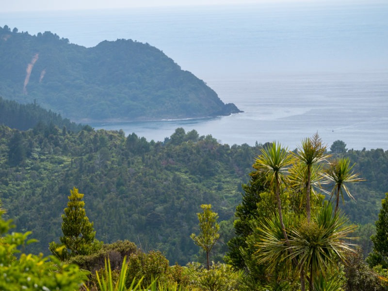 new zealand coromandel bay