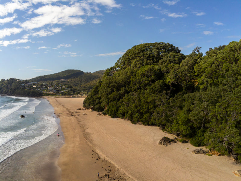 new zealand coromandel hot water beach