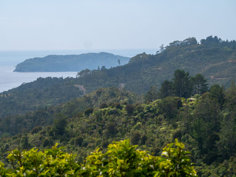 new zealand coromandel view