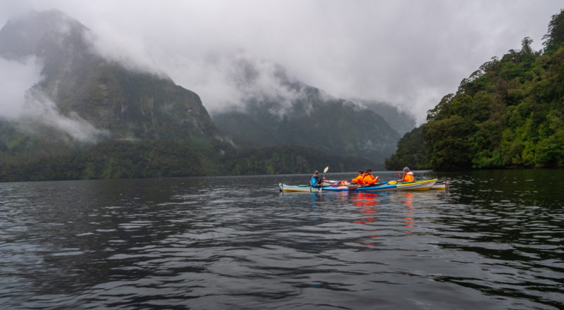 new zealand doubtful sound kayaking