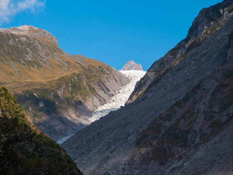 new zealand fox glacier