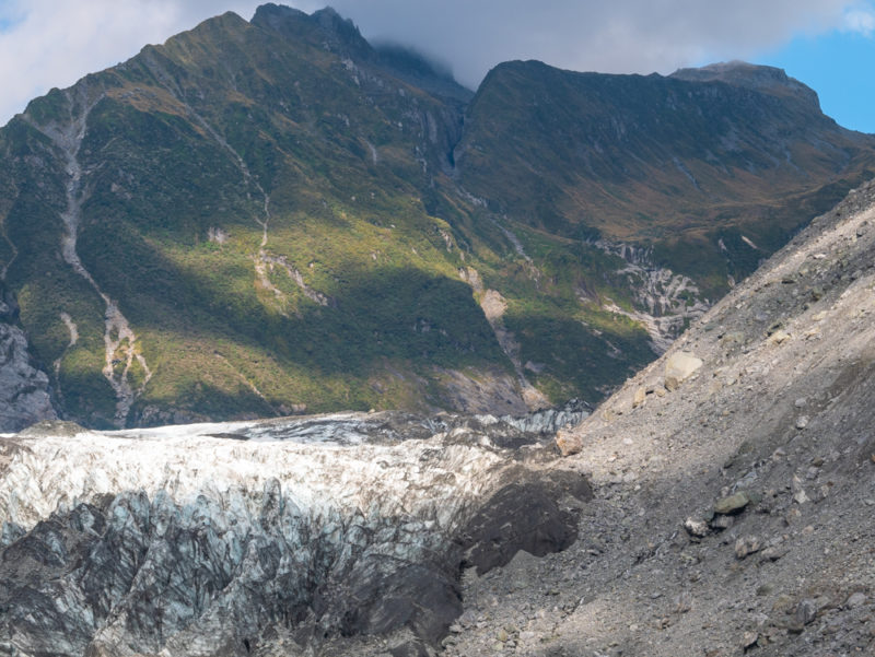 new zealand fox glacier closeup